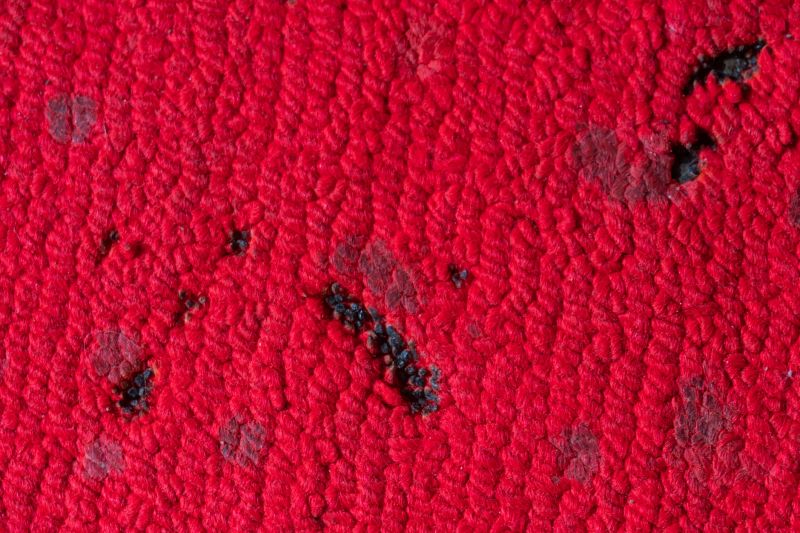 Carpet Repair Service in Kansas City, KS