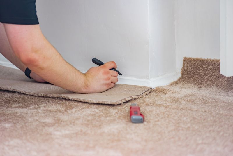Pet Stain Carpet Repair in Littleton, CO